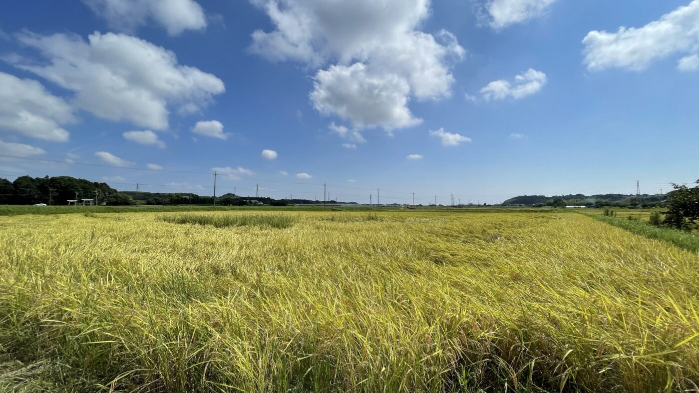 田植え・稲刈りイベント(三重鈴鹿)