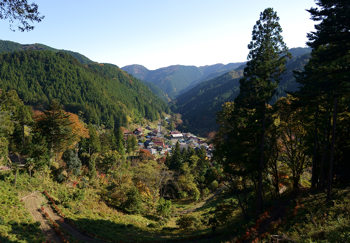 過去の新着情報