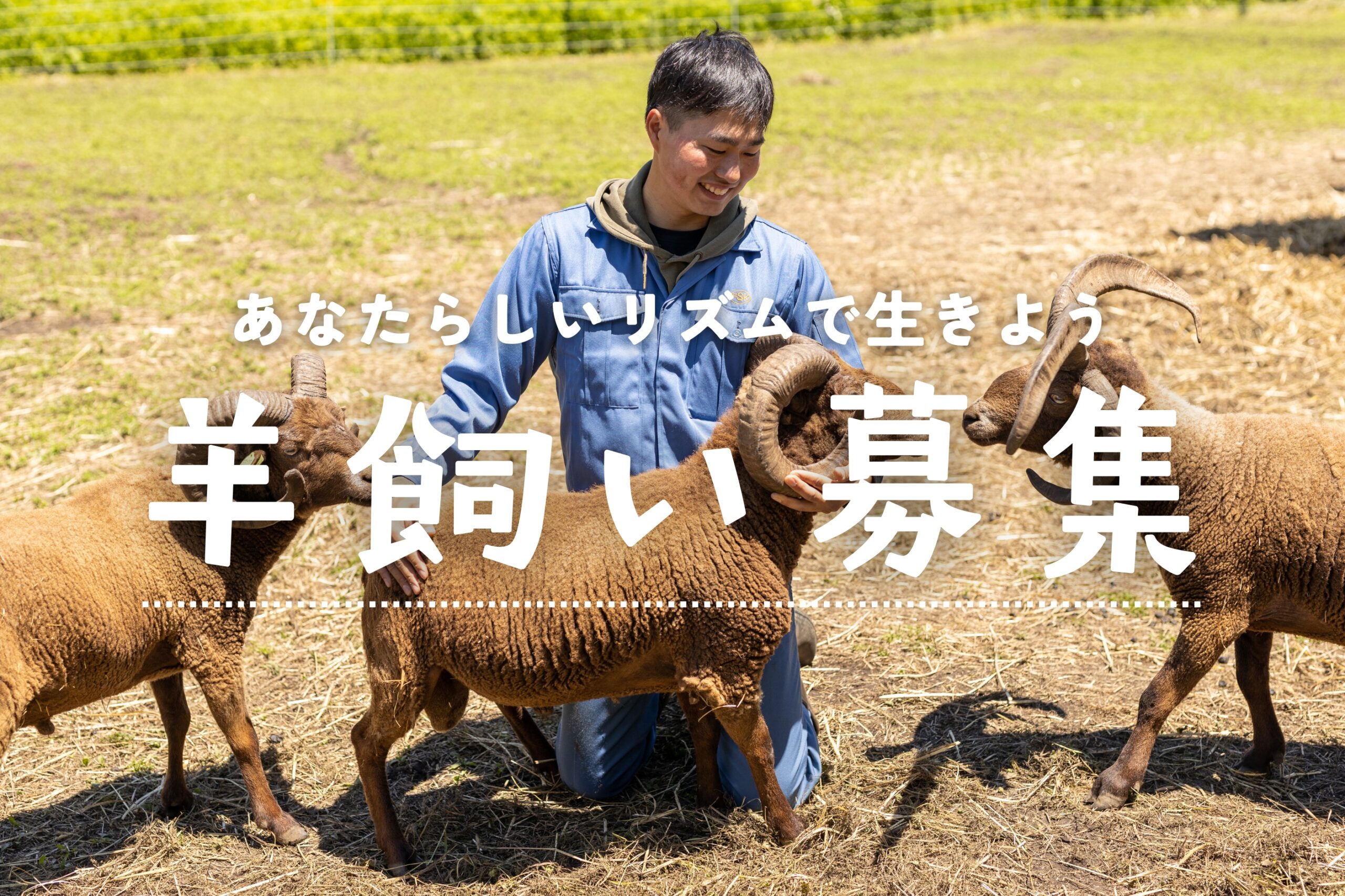 羊飼い募集 —あなたらしいリズムで生きよう— – 東京牧場株式会社