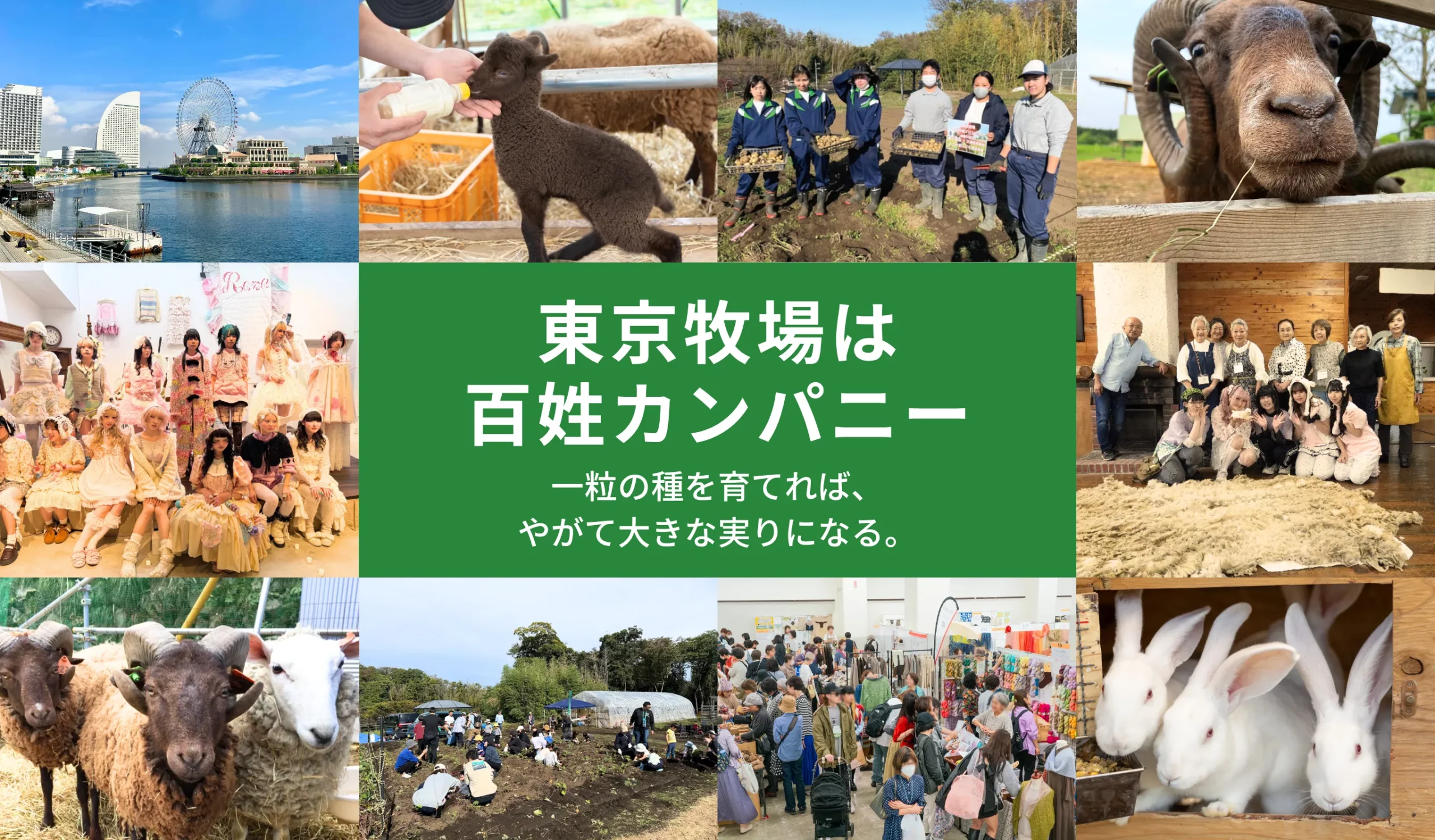 東京牧場は百姓カンパニー